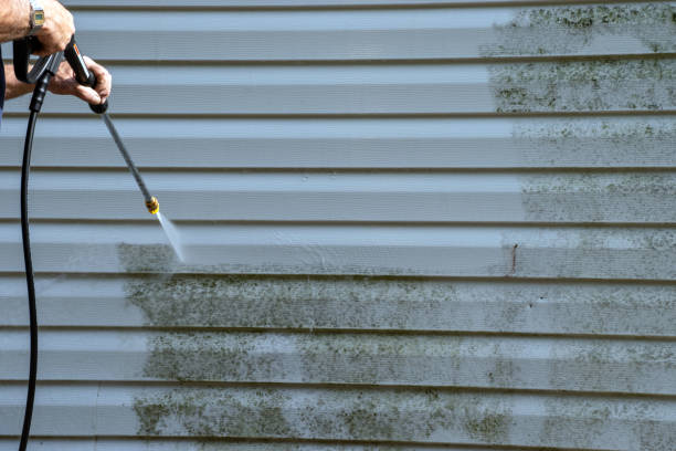 Best Storm Damage Siding Repair  in Livingston, CA